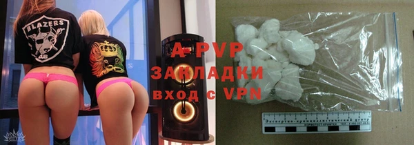 шишки Абаза