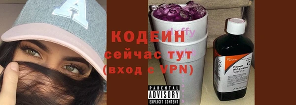 шишки Абаза