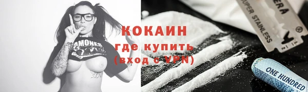 шишки Абаза