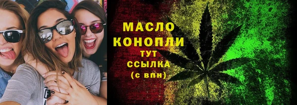 шишки Абаза