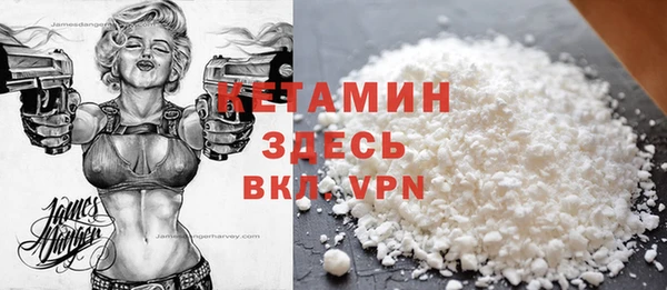 шишки Абаза