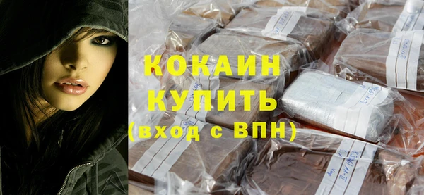 шишки Абаза