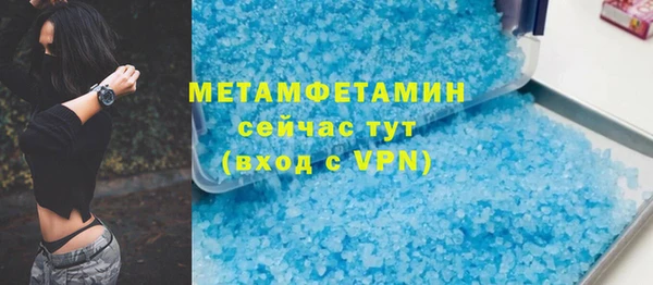 шишки Абаза
