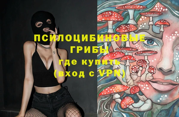 apvp Алзамай