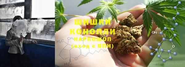 apvp Алзамай