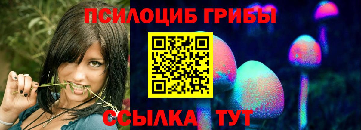 Химки  Псилоцибиновые грибы MAGIC MUSHROOMS  Вход с VPN  Галлюциногенные грибы Magic Shrooms 