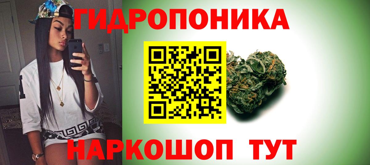 Бошки Шишки планчик  Шишки марихуана Bruce Banner  Вход с VPN  МАРИХУАНА конопля  Химки 